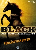 Black, der schwarze Blitz - Box 1 (4 DVDs)