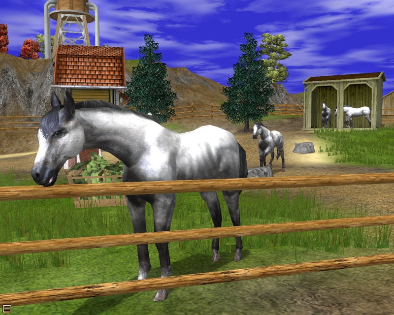 Horse Game To On The Computer